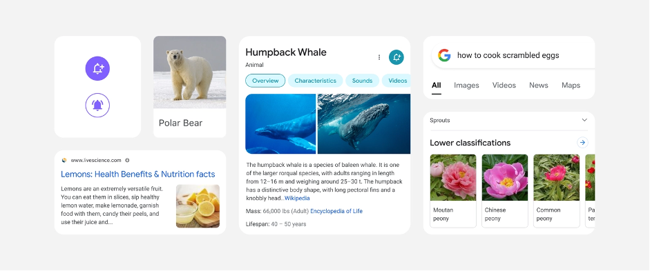 Nieuwe google zoekresultaten op mobiel